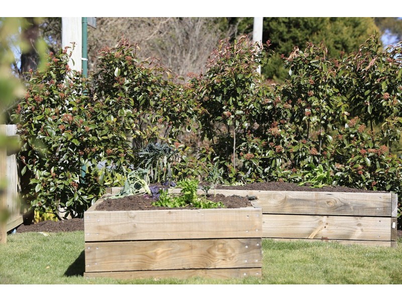 20 Station Road, Aylmerton NSW 2575