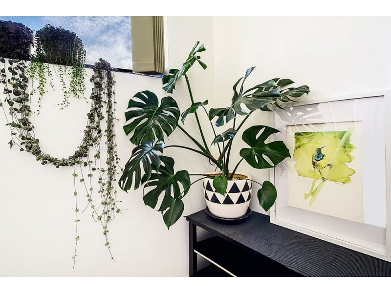 26/6 Fifth Avenue, Burleigh Heads QLD 4220