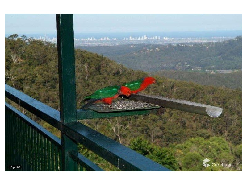 26 Loop Road, Lower Beechmont QLD 4211