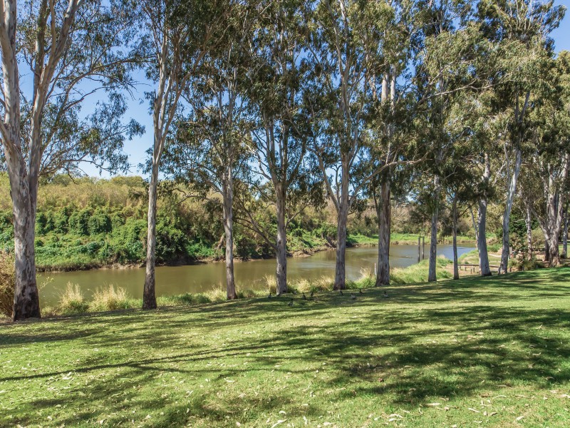 29 Fitzgibbon Street, North Ipswich QLD 4305