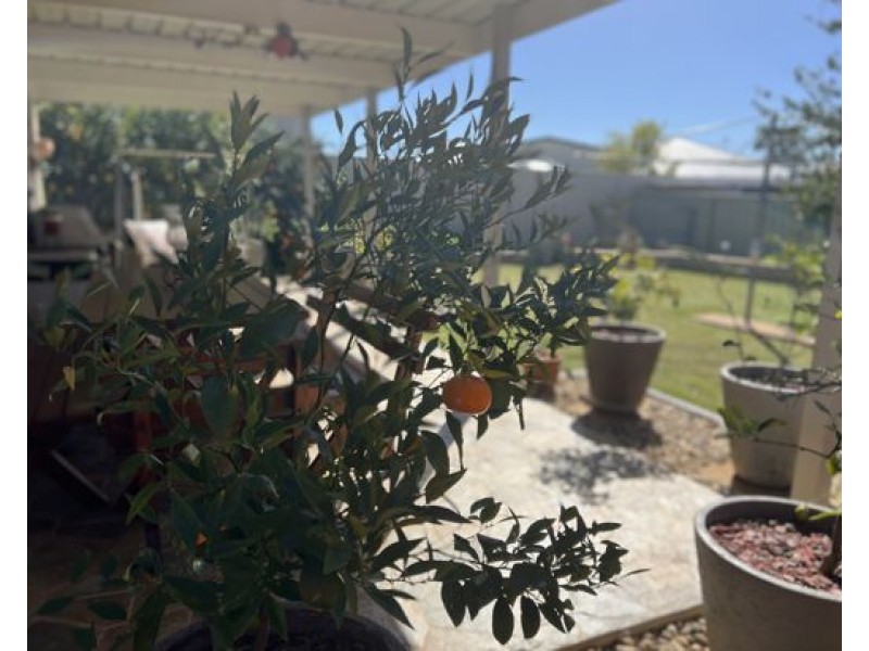 31 Spears Drive, Dubbo NSW 2830