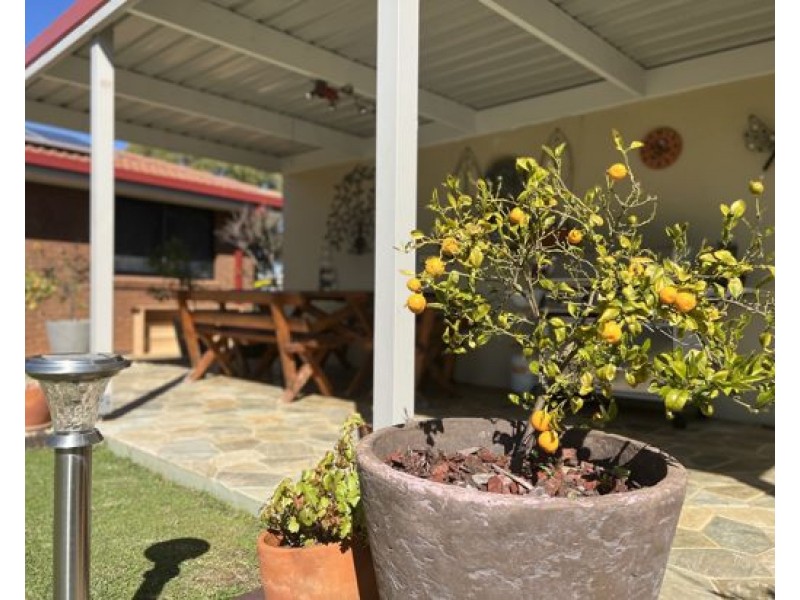 31 Spears Drive, Dubbo NSW 2830