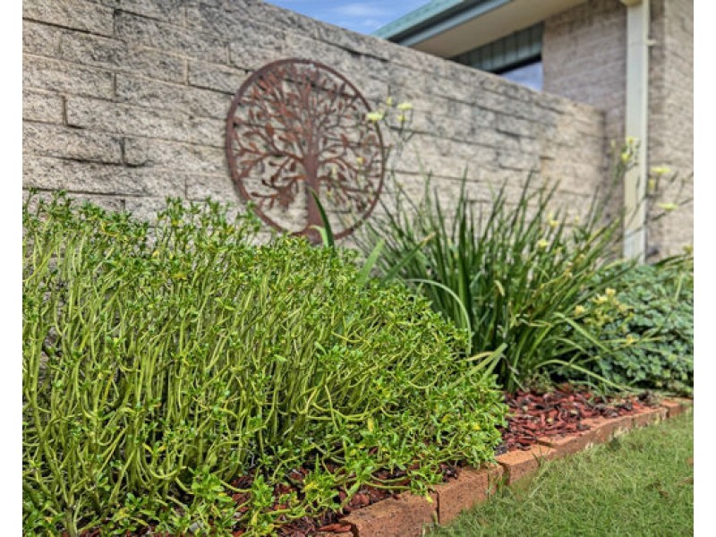 4 Hazelwood Drive, Dubbo NSW 2830