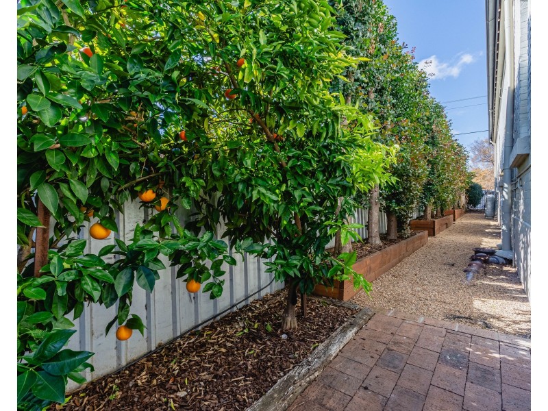 147 Gipps Street, Dubbo NSW 2830