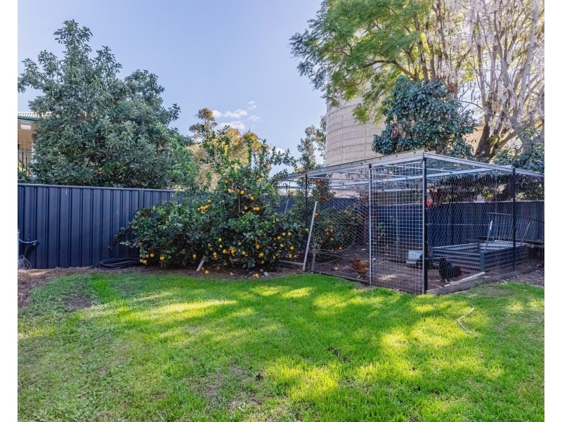 59 Jubilee Street, Dubbo NSW 2830