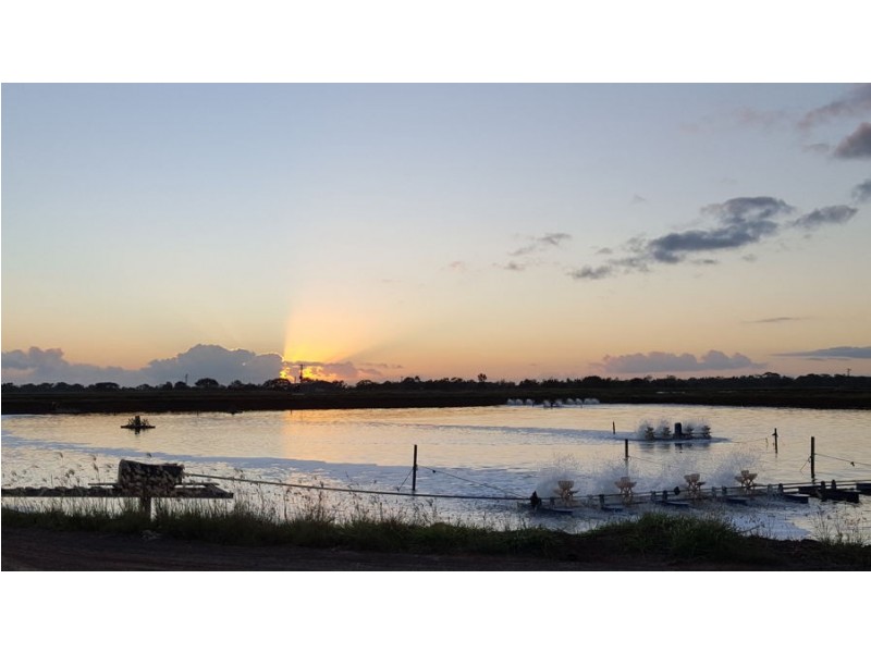 191 Sheehans Road, Calavos QLD 4670