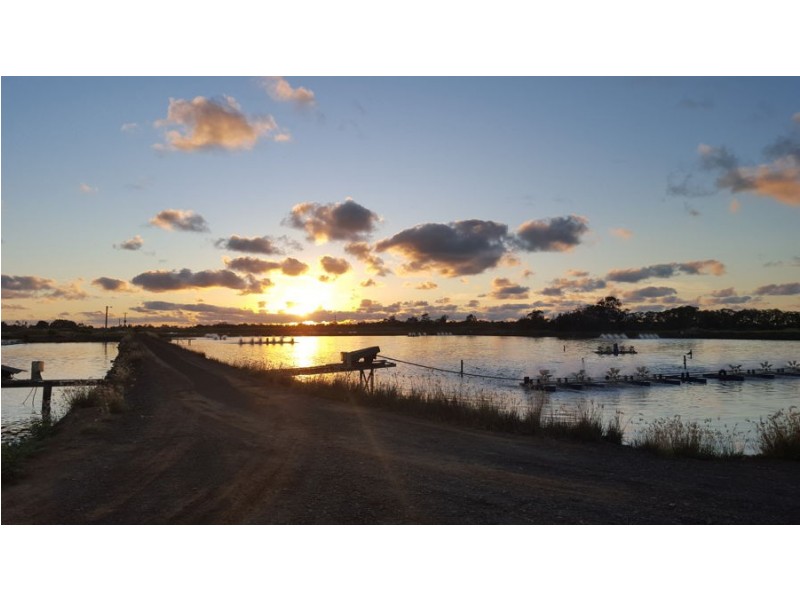 191 Sheehans Road, Calavos QLD 4670