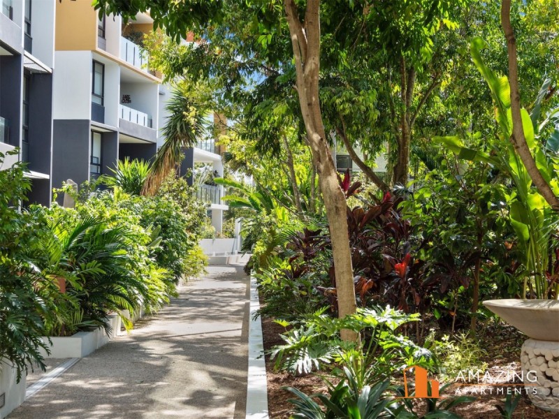 10 Pidgeon Close, West End QLD 4101