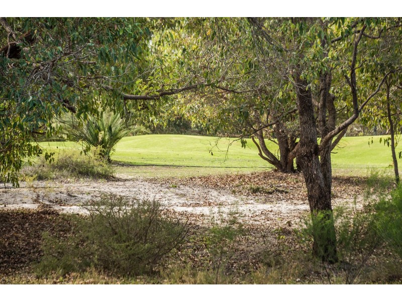 84 Cardinal Drive, The Vines WA 6069