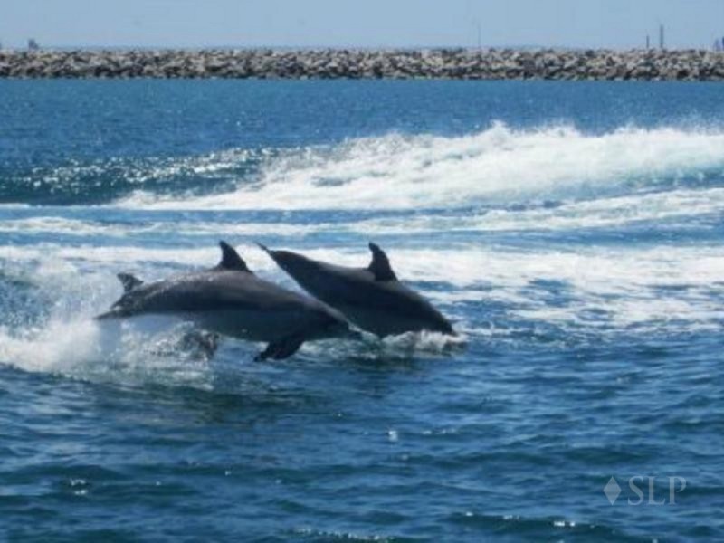 121 Parkin Street, Rockingham WA 6168