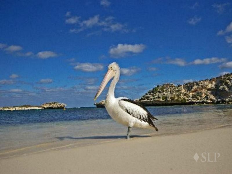 121 Parkin Street, Rockingham WA 6168