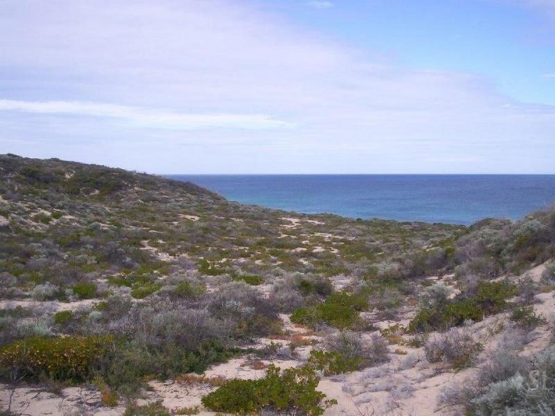 Lot 116 Phillips Road, Greenough WA 6532