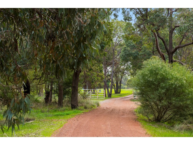 64 Kelvin Road, Wattle Grove WA 6107