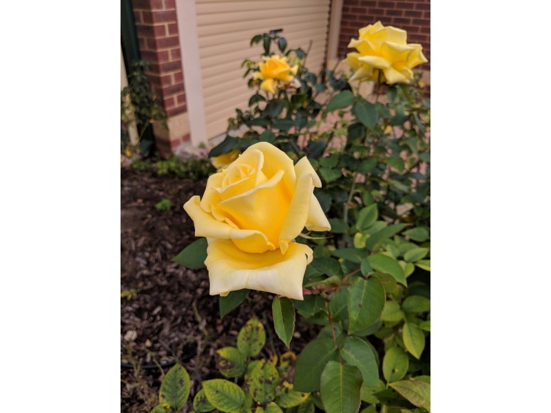 3/10 Anstruther Road, Mandurah WA 6210