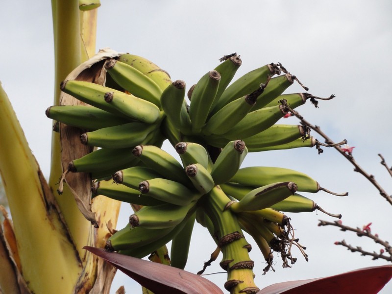 19 Cassilis Court, Greenfields WA 6210