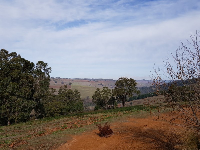 11 Riverview Close, Bridgetown WA 6255