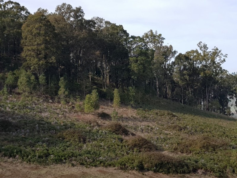 11 Riverview Close, Bridgetown WA 6255