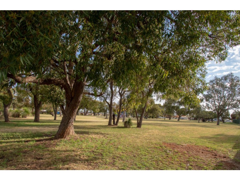 16 Goolema Place, Wanneroo WA 6065