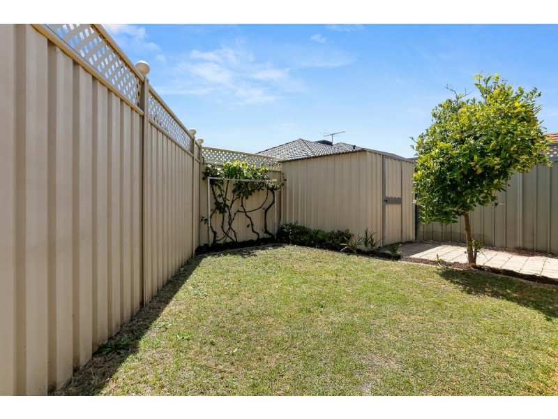 11 Heliconia Turn, Stirling WA 6021