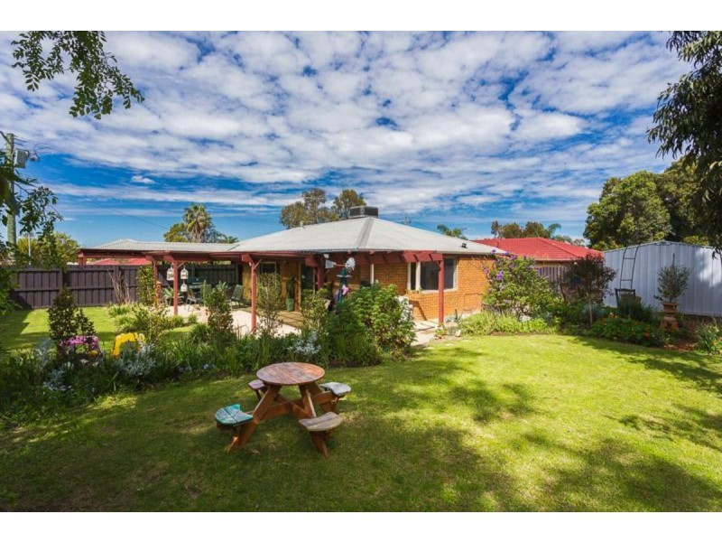 9 Grassbird Loop, Yangebup WA 6164