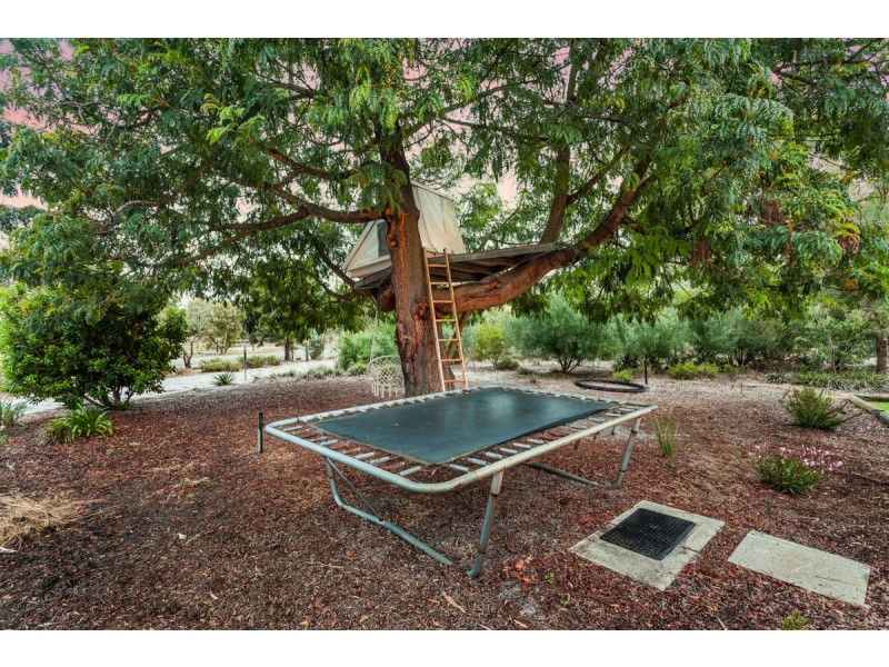 31 Woodland Place, Casuarina WA 6167