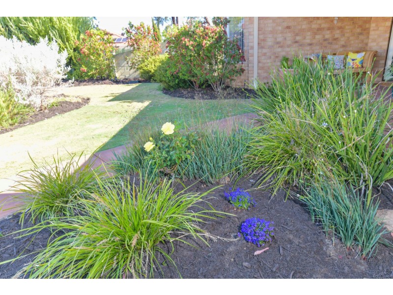 14 Quong Place, Atwell WA 6164