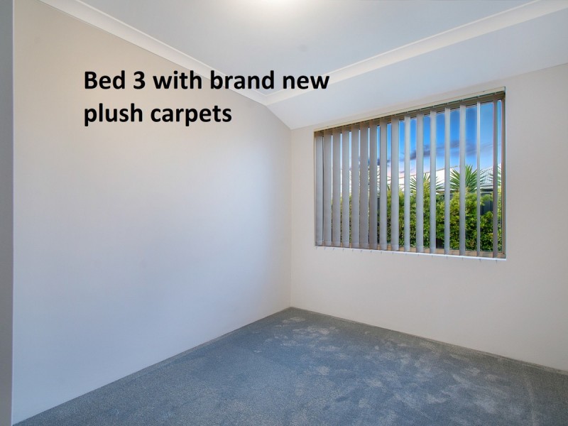 34 Montane Turn, Banksia Grove WA 6031
