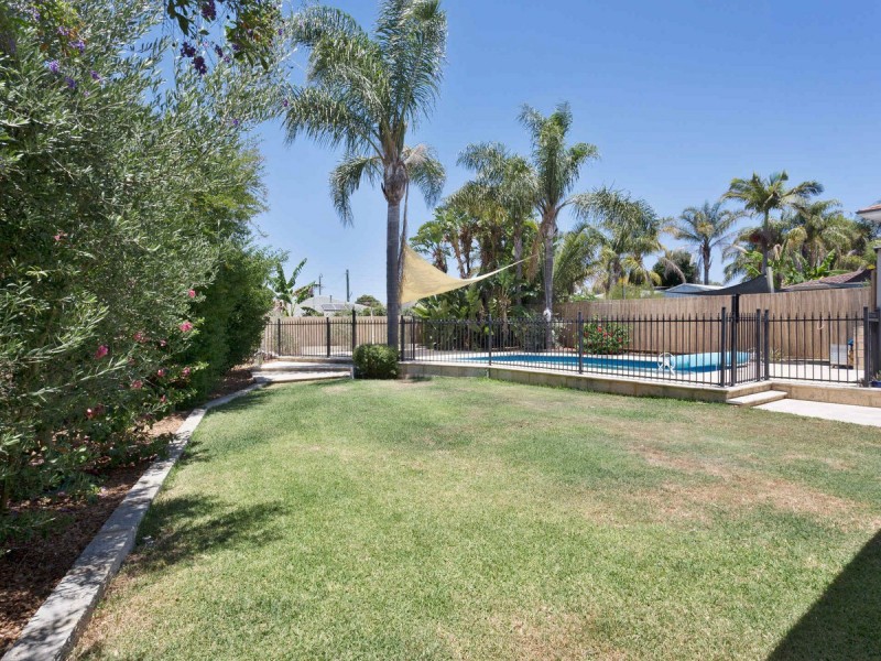 3 Tattler Place, Yangebup WA 6164