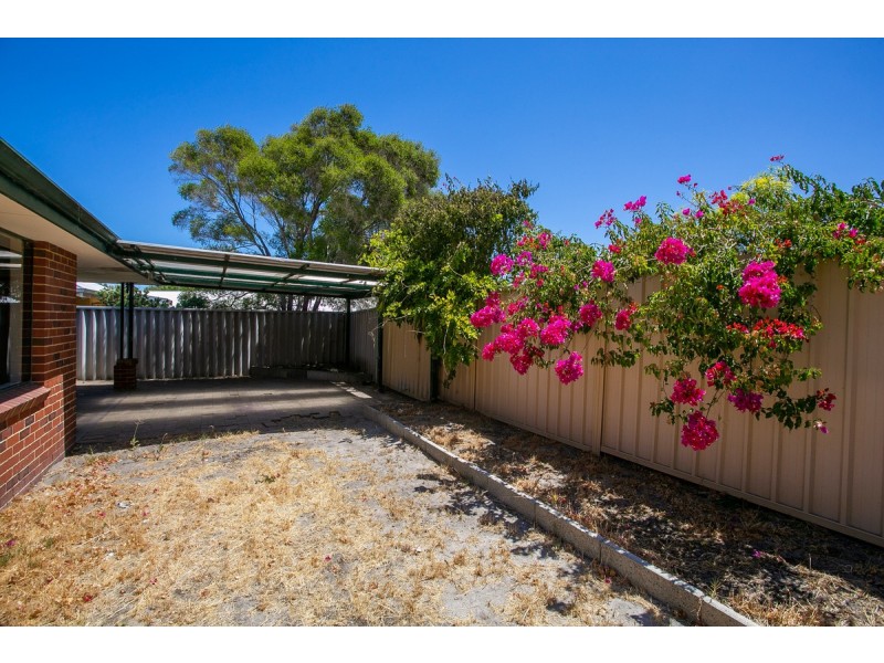 3 Drury Street, Willagee WA 6156
