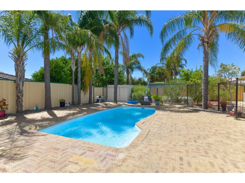 3 Lupin Court, Hocking WA 6065