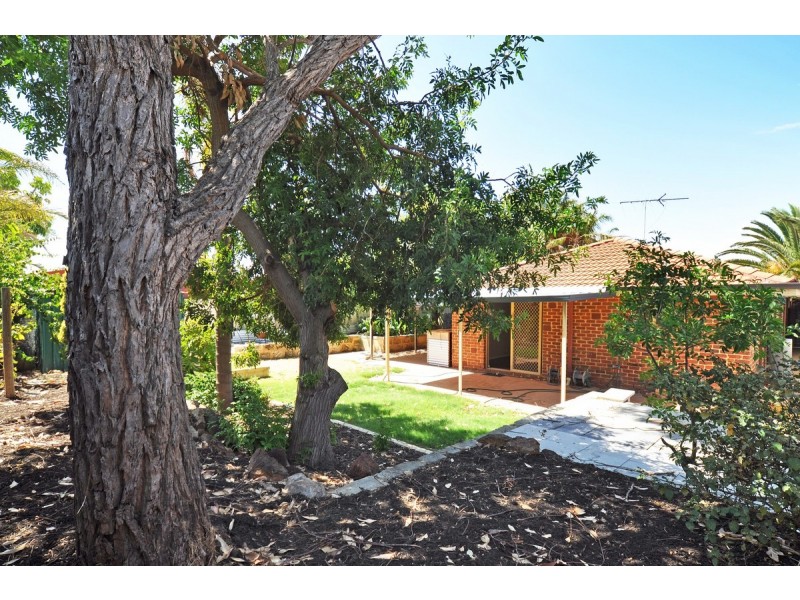 29 Larsson Walk, Clarkson WA 6030