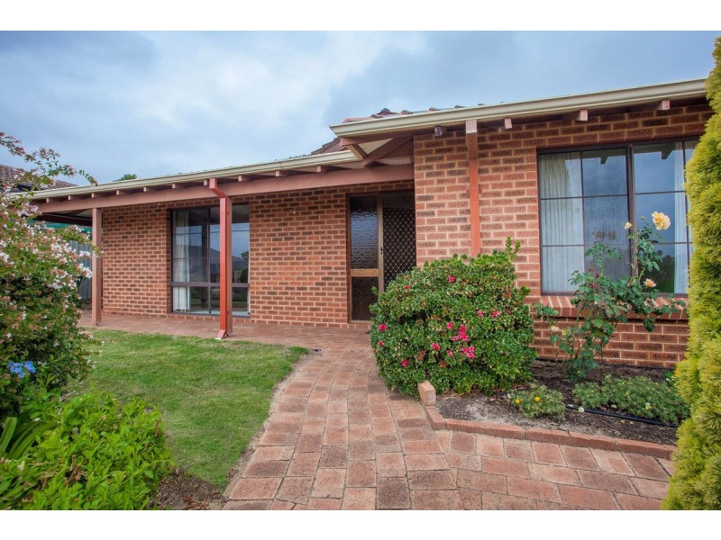 12 Ainslie Court, Kardinya WA 6163