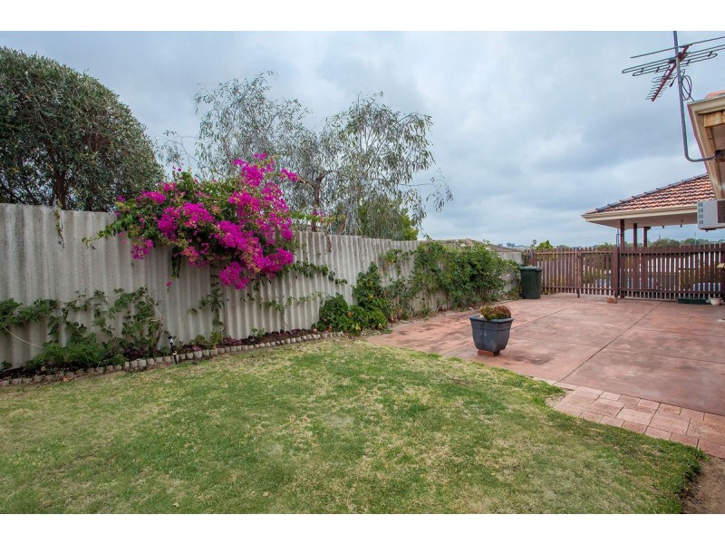12 Ainslie Court, Kardinya WA 6163