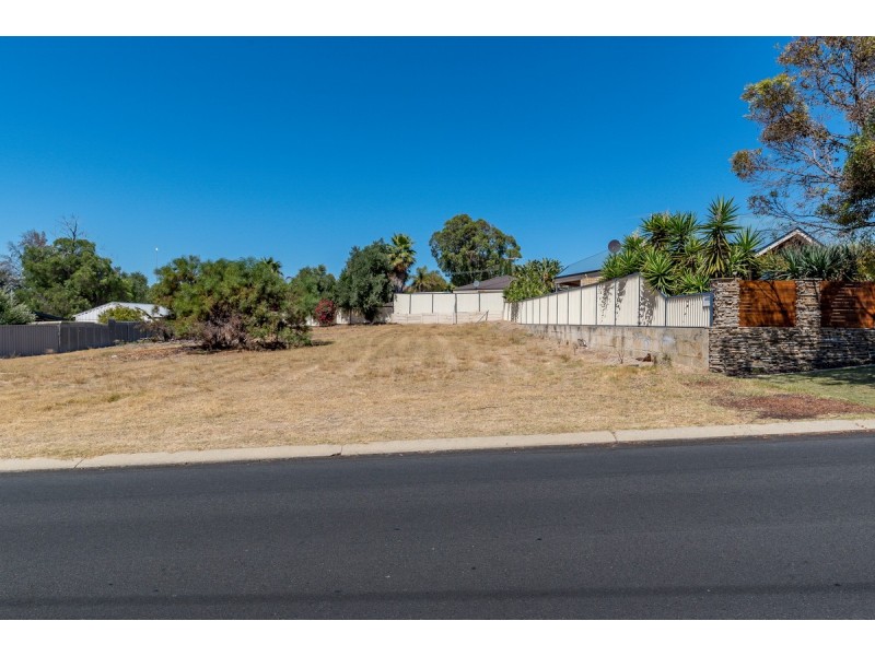 17 Mercedes Avenue, Falcon WA 6210