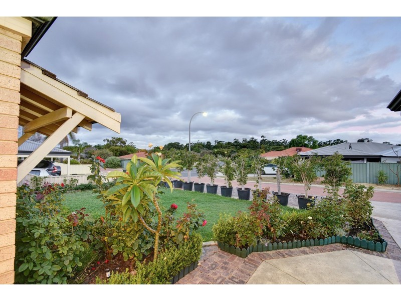 17 Canopy Court, Banksia Grove WA 6031