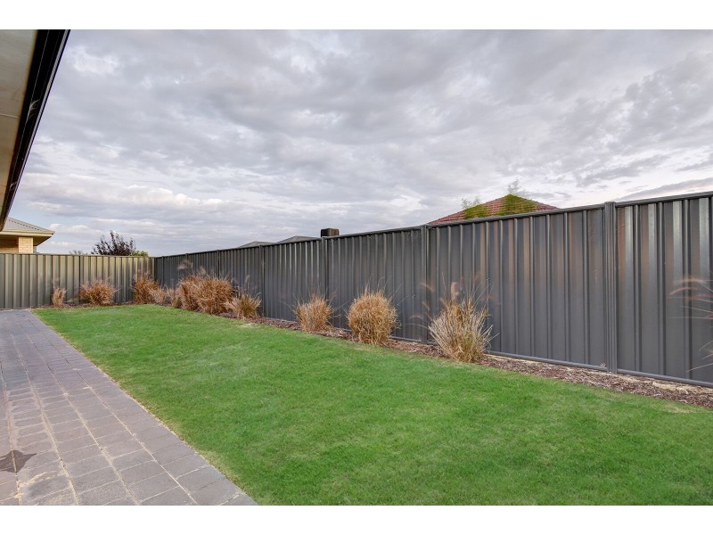 31 Montane Turn, Banksia Grove WA 6031