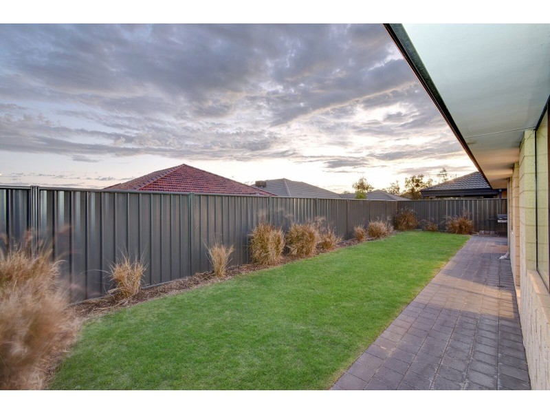 31 Montane Turn, Banksia Grove WA 6031