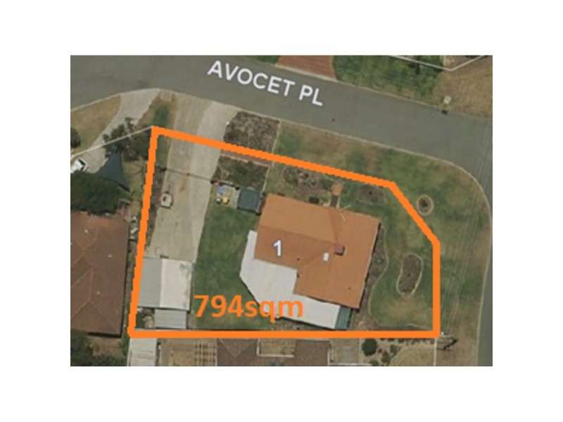 1 Avocet Place, Yangebup WA 6164 Floorplan