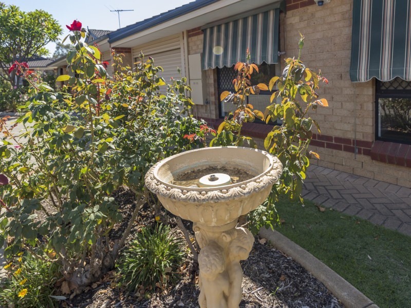 15/2 Keals Close, Bentley WA 6102