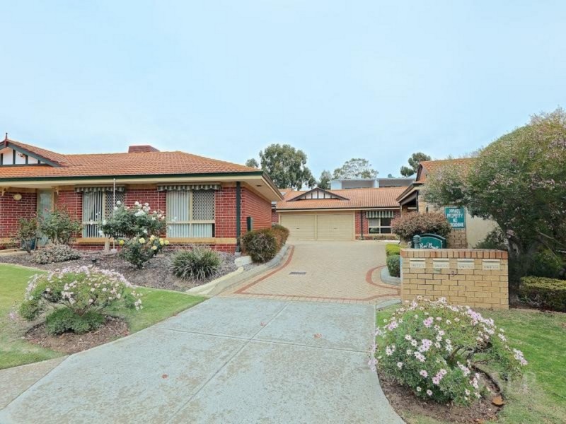 4/3 Tipuana  Green, O’connor WA 6163