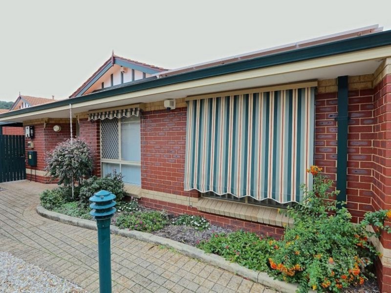 4/3 Tipuana  Green, O’connor WA 6163