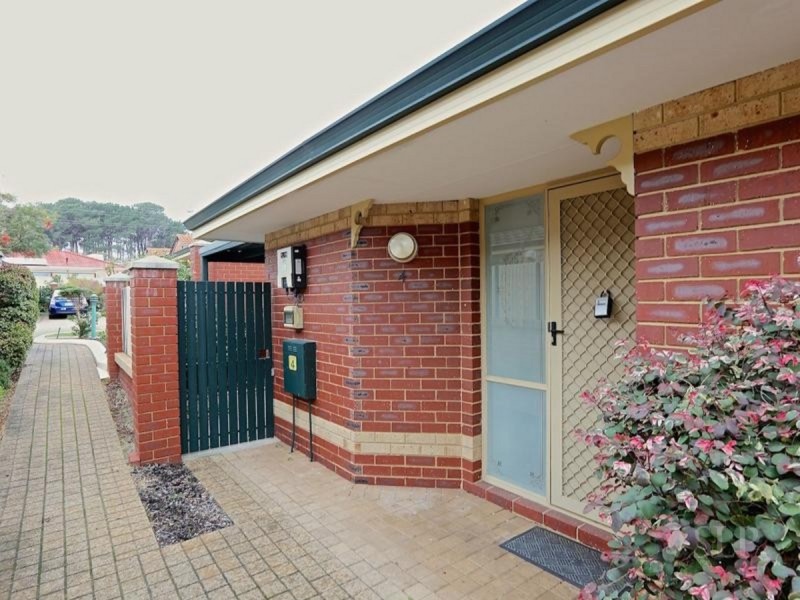 4/3 Tipuana  Green, O’connor WA 6163