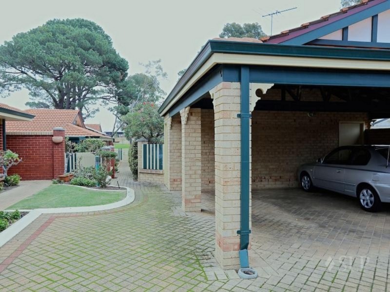 4/3 Tipuana  Green, O’connor WA 6163