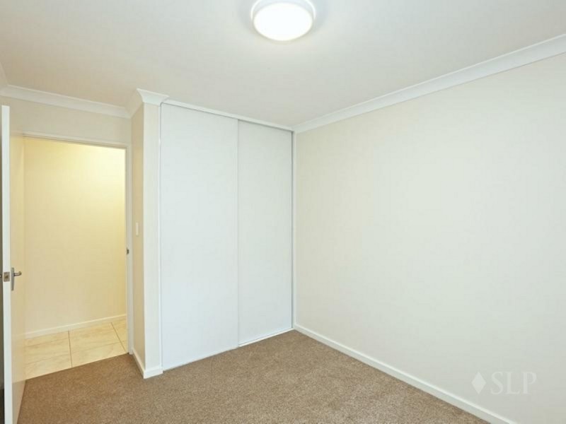 4/3 Tipuana  Green, O’connor WA 6163