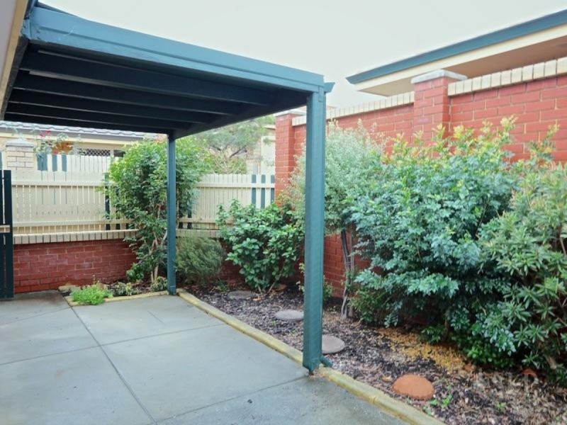 4/3 Tipuana  Green, O’connor WA 6163