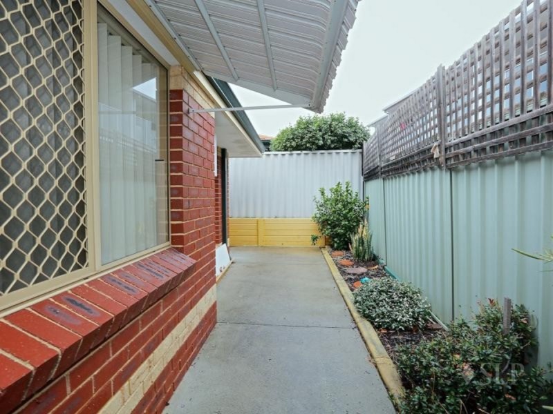 4/3 Tipuana  Green, O’connor WA 6163