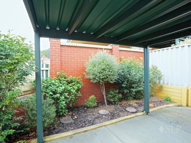 4/3 Tipuana  Green, O’connor WA 6163