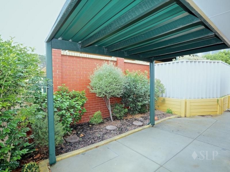 4/3 Tipuana  Green, O’connor WA 6163