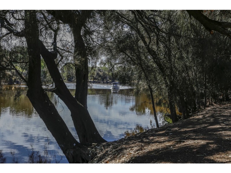 7 Ashby Terrace, Viveash WA 6056