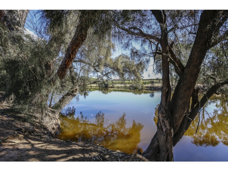 7 Ashby Terrace, Viveash WA 6056